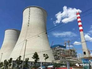 华电科院吃瓜,揭秘背后真相与争议