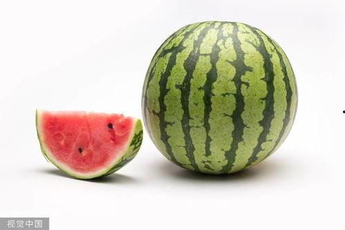 二三里吃瓜大赛图片,一场视觉盛宴的狂欢