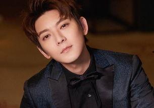 凌的明星,揭秘娱乐圈璀璨新星凌的璀璨人生