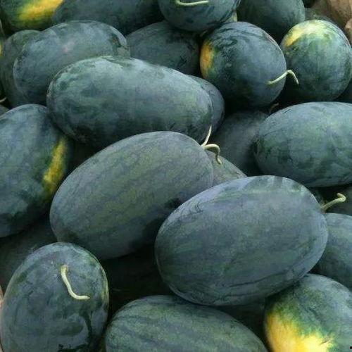 吃瓜哪个瓜最甜最好吃图片,揭秘哪款瓜最甜最好吃